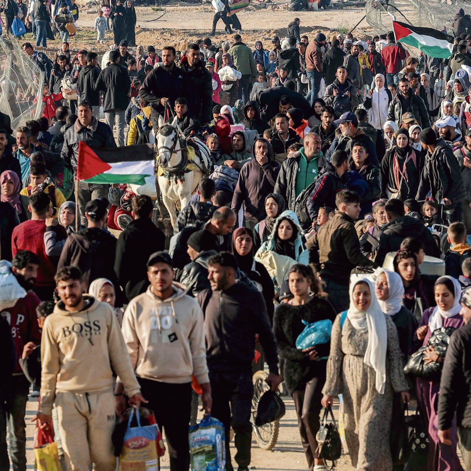 «Trump déporte un activistes palestinien pour la paix, Israël le tue »