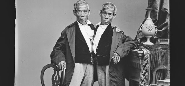 L’horreur des spectacles humains : Les noirs exposés comme des bêtes de foire par Barnum